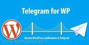 telegram for wp 300x155 - افزونه ارسال مطلب اتوماتیک به تلگرام برای وردپرس