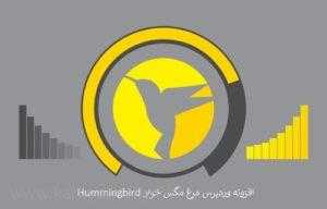 HummingBird kamyabscript 300x192 - افزونه وردپرس مرغ مگس خوار Hummingbird