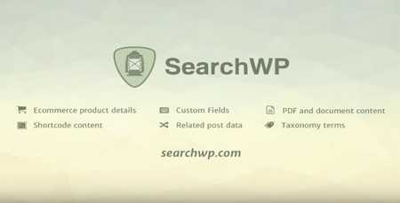 searchwp - افزونه جستجوگر پیشرفته وردپرس SearchWP + افزودنی ها