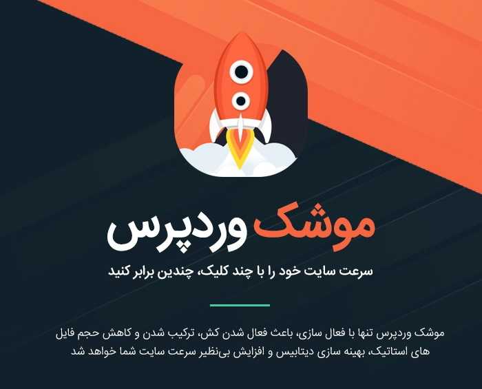 افزونه WP ROCKET راکت وردپرس فارسی نسخه ۳٫۵٫۰٫۲
